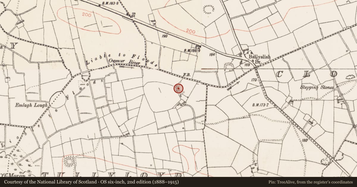 Ordnance Survey six-inch map, 2nd edition (1888–1915) covering the location of Ringfort - rath, Tullyloyd, County Roscommon, with a pin at the register's coordinates