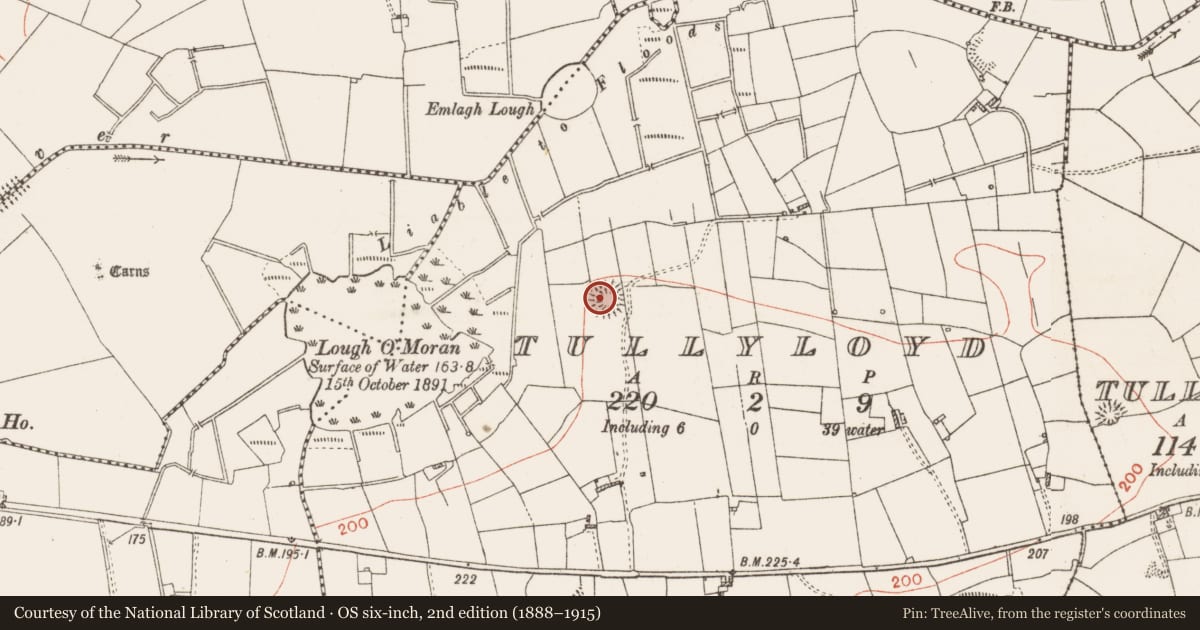 Ordnance Survey six-inch map, 2nd edition (1888–1915) covering the location of Ringfort - rath, Tullyloyd, County Roscommon, with a pin at the register's coordinates