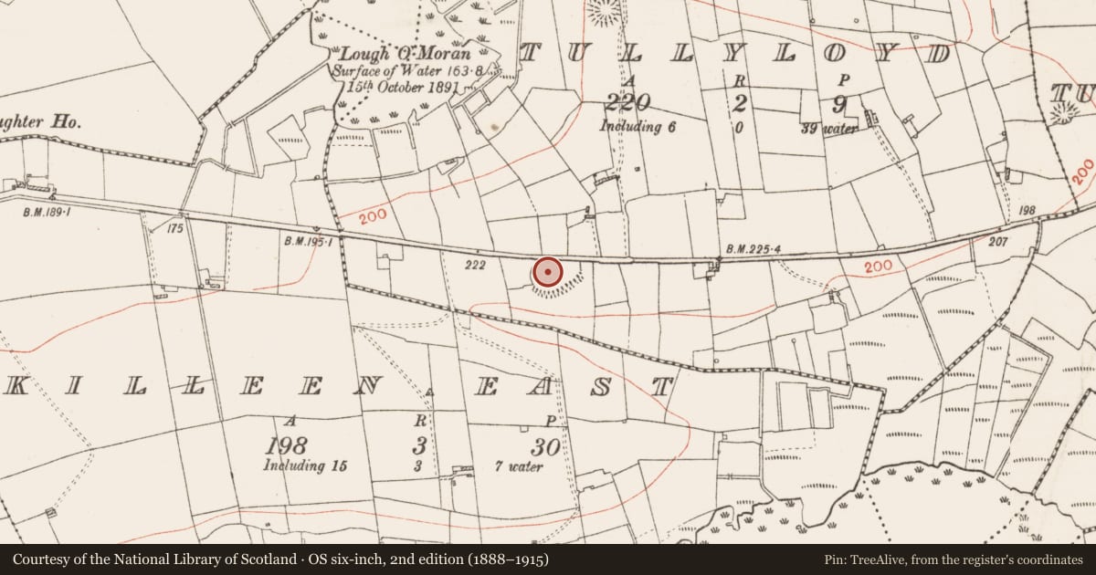 Ordnance Survey six-inch map, 2nd edition (1888–1915) covering the location of Enclosure - large enclosure, Tullyloyd, County Roscommon, with a pin at the register's coordinates