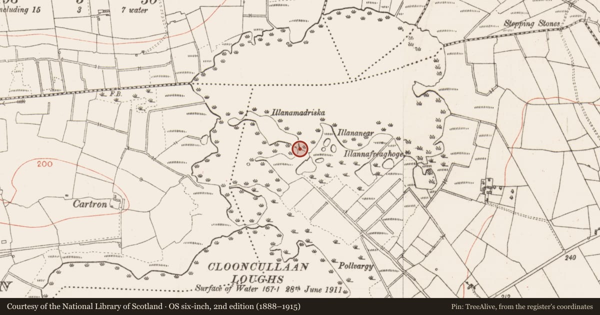 Ordnance Survey six-inch map, 2nd edition (1888–1915) covering the location of Habitation site, Clooncullaan, County Roscommon, with a pin at the register's coordinates