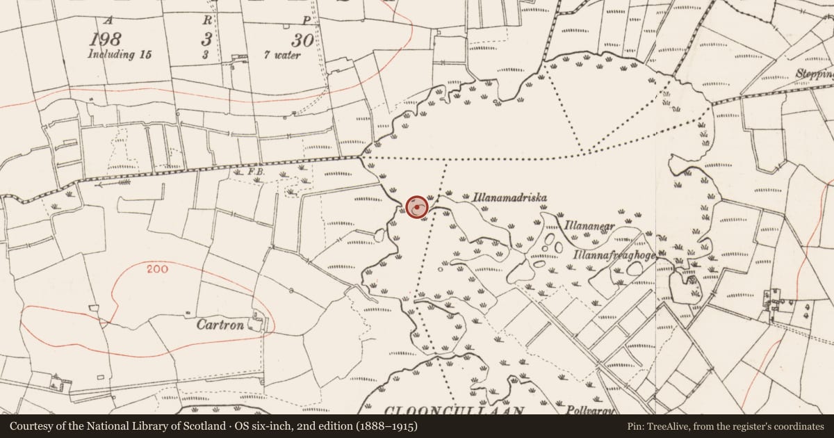 Ordnance Survey six-inch map, 2nd edition (1888–1915) covering the location of Crannog, Cloonroughan, County Roscommon, with a pin at the register's coordinates