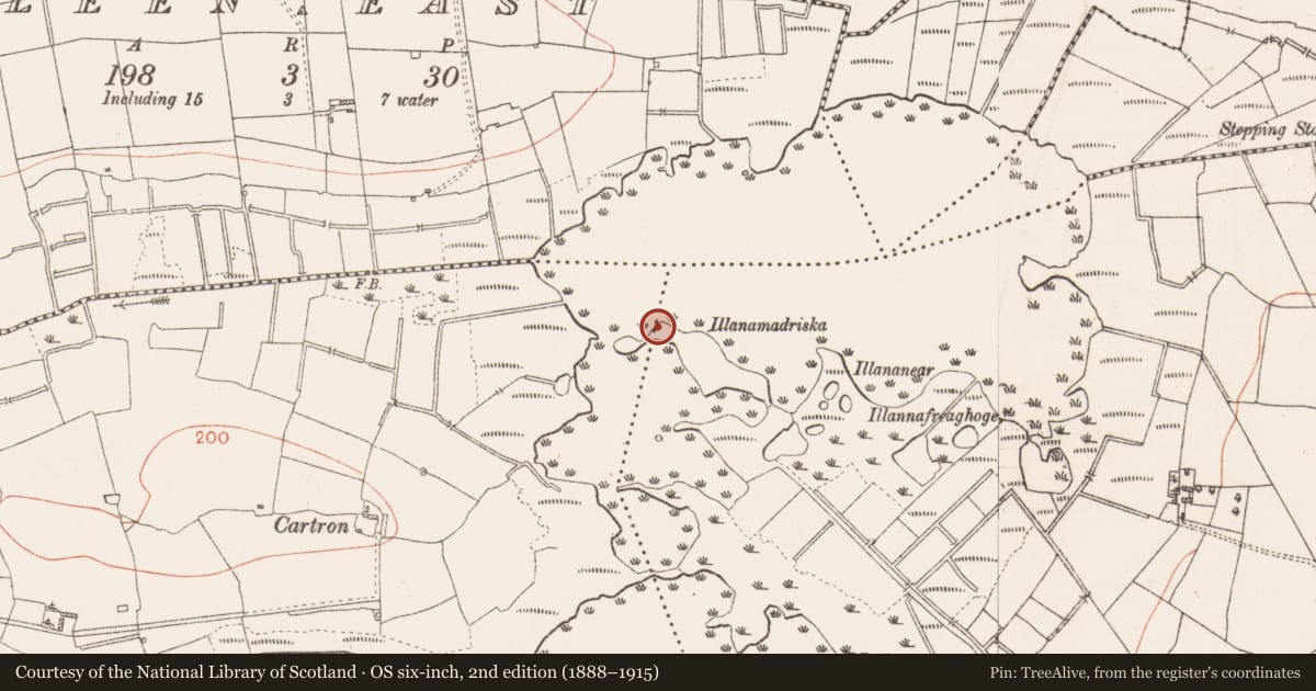 Ordnance Survey six-inch map, 2nd edition (1888–1915) covering the location of Crannog, Clooncullaan, County Roscommon, with a pin at the register's coordinates
