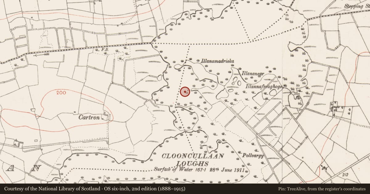 Ordnance Survey six-inch map, 2nd edition (1888–1915) covering the location of Crannog, Clooncullaan, County Roscommon, with a pin at the register's coordinates