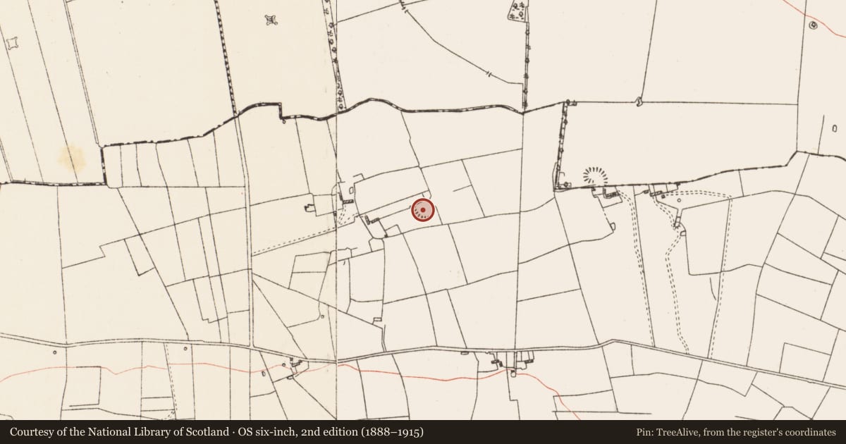 Ordnance Survey six-inch map, 2nd edition (1888–1915) covering the location of Ringfort - rath, Ballyconboy, County Roscommon, with a pin at the register's coordinates