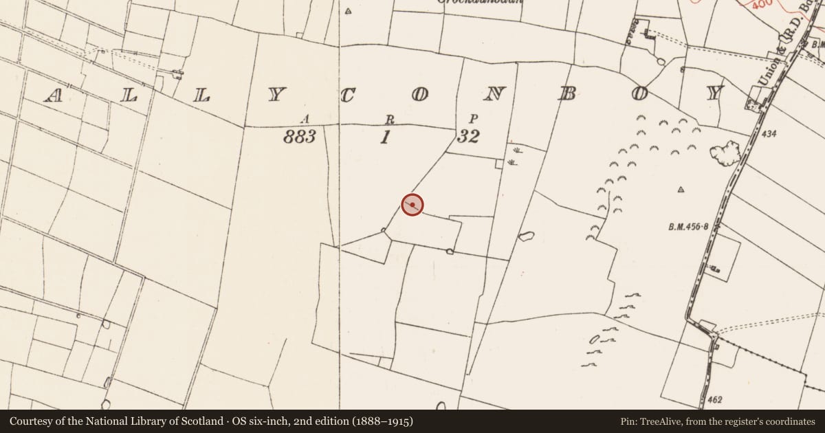Ordnance Survey six-inch map, 2nd edition (1888–1915) covering the location of Pitfield, Ballyconboy, County Roscommon, with a pin at the register's coordinates