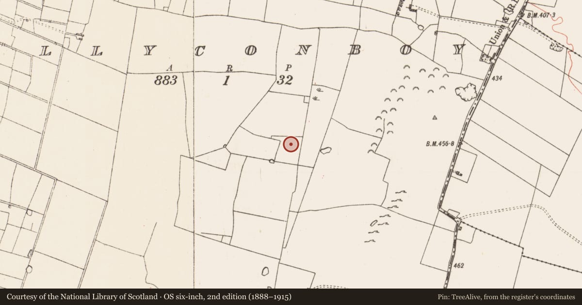 Ordnance Survey six-inch map, 2nd edition (1888–1915) covering the location of Barrow - unclassified, Ballyconboy, County Roscommon, with a pin at the register's coordinates