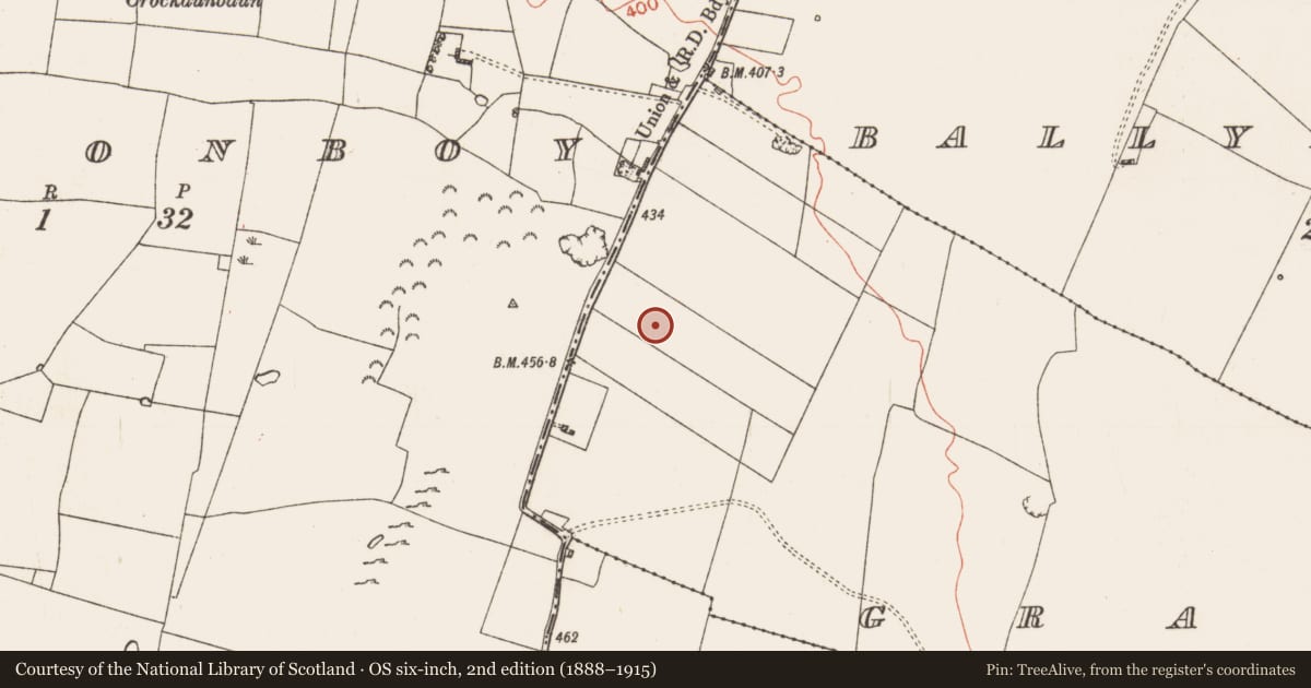 Ordnance Survey six-inch map, 2nd edition (1888–1915) covering the location of Barrow - ditch barrow, Grallagh, County Roscommon, with a pin at the register's coordinates