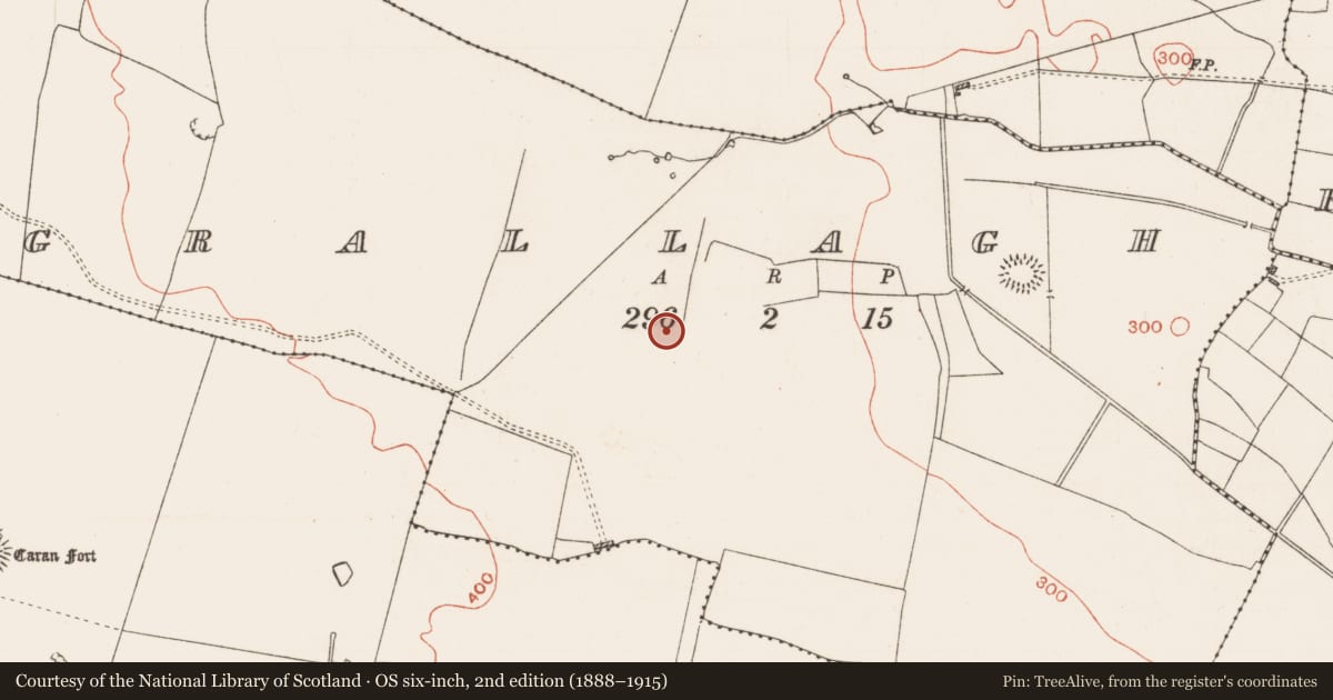 Ordnance Survey six-inch map, 2nd edition (1888–1915) covering the location of Pitfield, Grallagh, County Roscommon, with a pin at the register's coordinates