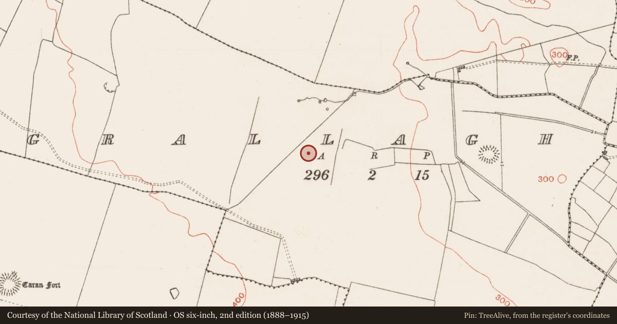 Ordnance Survey six-inch map, 2nd edition (1888–1915) covering the location of Field system, Grallagh, County Roscommon, with a pin at the register's coordinates