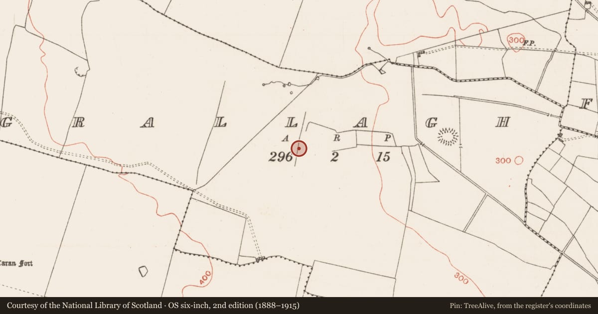 Ordnance Survey six-inch map, 2nd edition (1888–1915) covering the location of Road - road/trackway, Grallagh, County Roscommon, with a pin at the register's coordinates