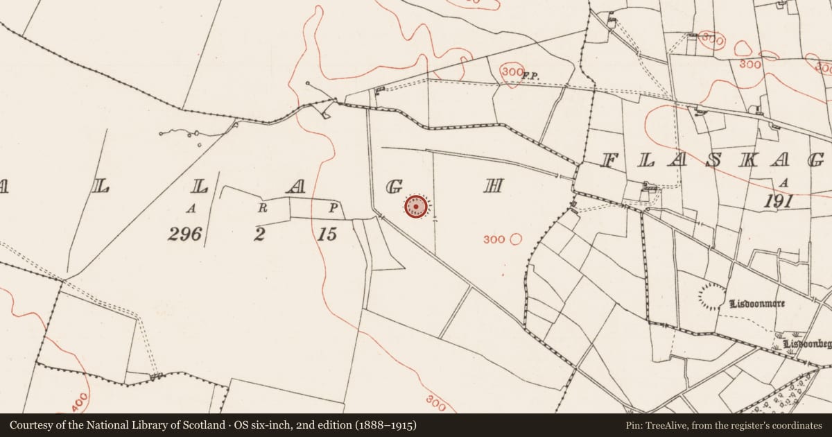 Ordnance Survey six-inch map, 2nd edition (1888–1915) covering the location of Enclosure, Grallagh, County Roscommon, with a pin at the register's coordinates