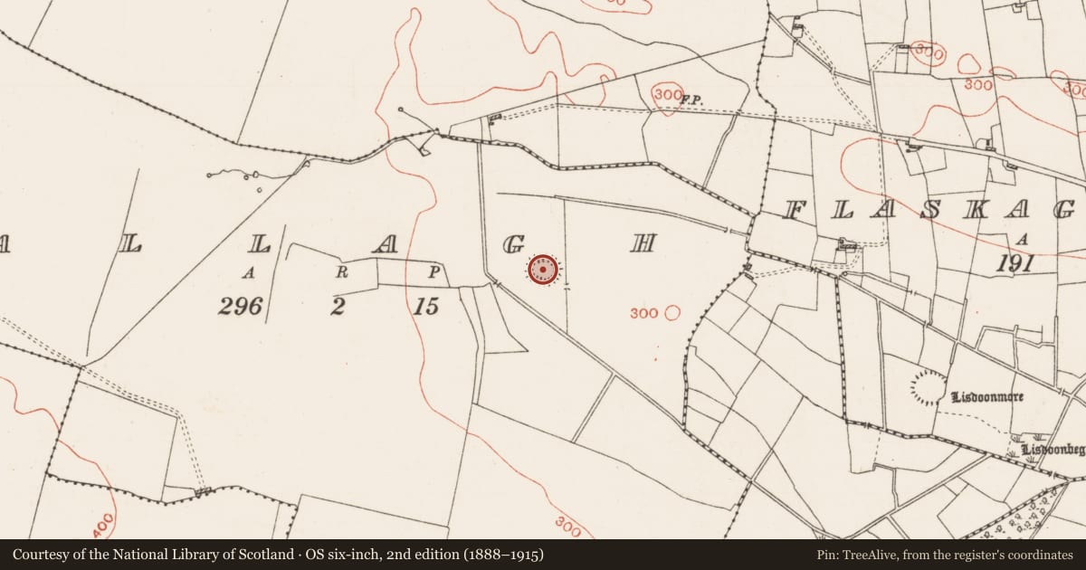 Ordnance Survey six-inch map, 2nd edition (1888–1915) covering the location of Mound, Grallagh, County Roscommon, with a pin at the register's coordinates