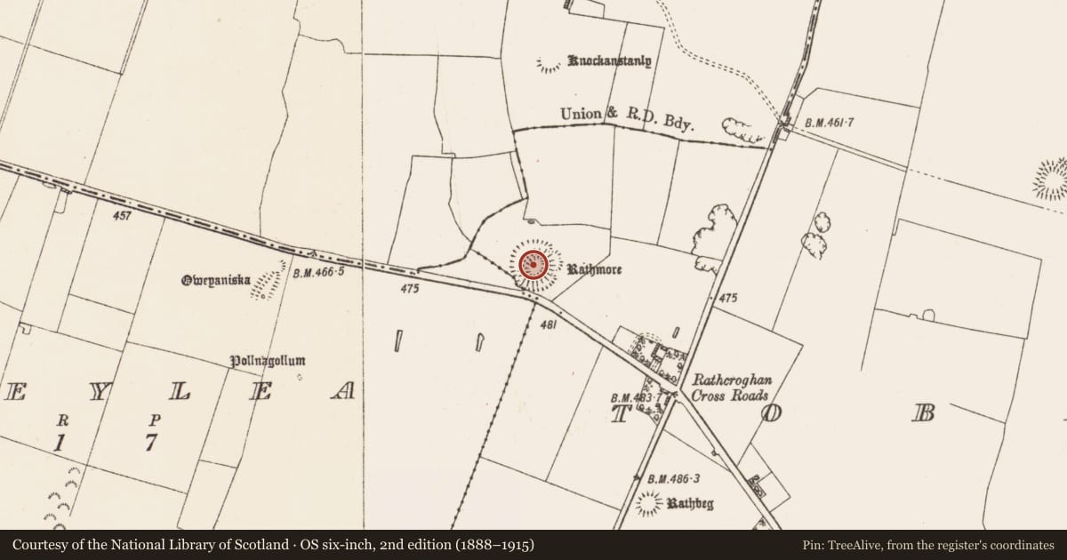 Ordnance Survey six-inch map, 2nd edition (1888–1915) covering the location of Ringfort - rath, Toberrory, County Roscommon, with a pin at the register's coordinates