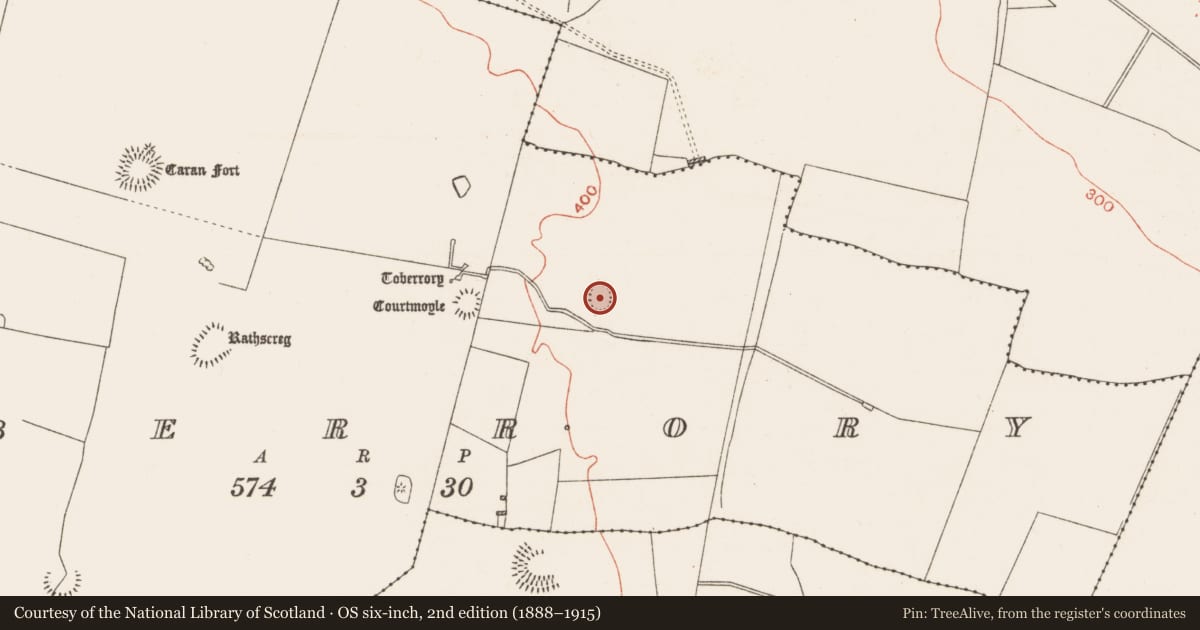 Ordnance Survey six-inch map, 2nd edition (1888–1915) covering the location of Ringfort - rath, Toberrory, County Roscommon, with a pin at the register's coordinates