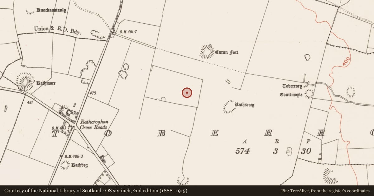 Ordnance Survey six-inch map, 2nd edition (1888–1915) covering the location of Field system, Toberrory, County Roscommon, with a pin at the register's coordinates