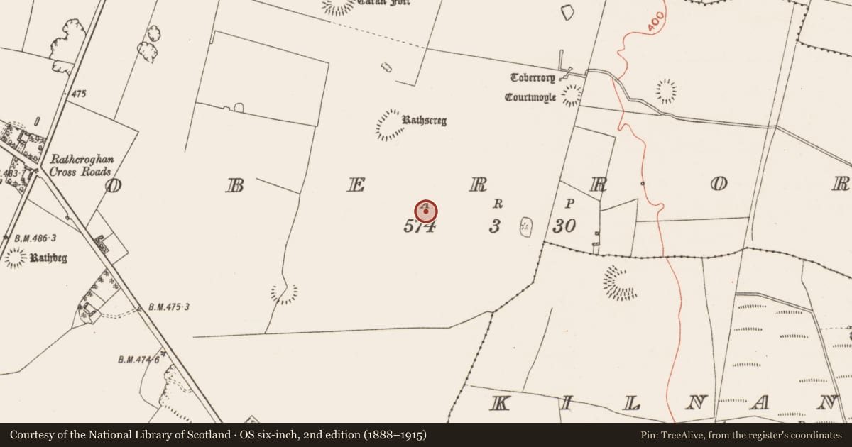 Ordnance Survey six-inch map, 2nd edition (1888–1915) covering the location of Road - road/trackway, Toberrory, County Roscommon, with a pin at the register's coordinates