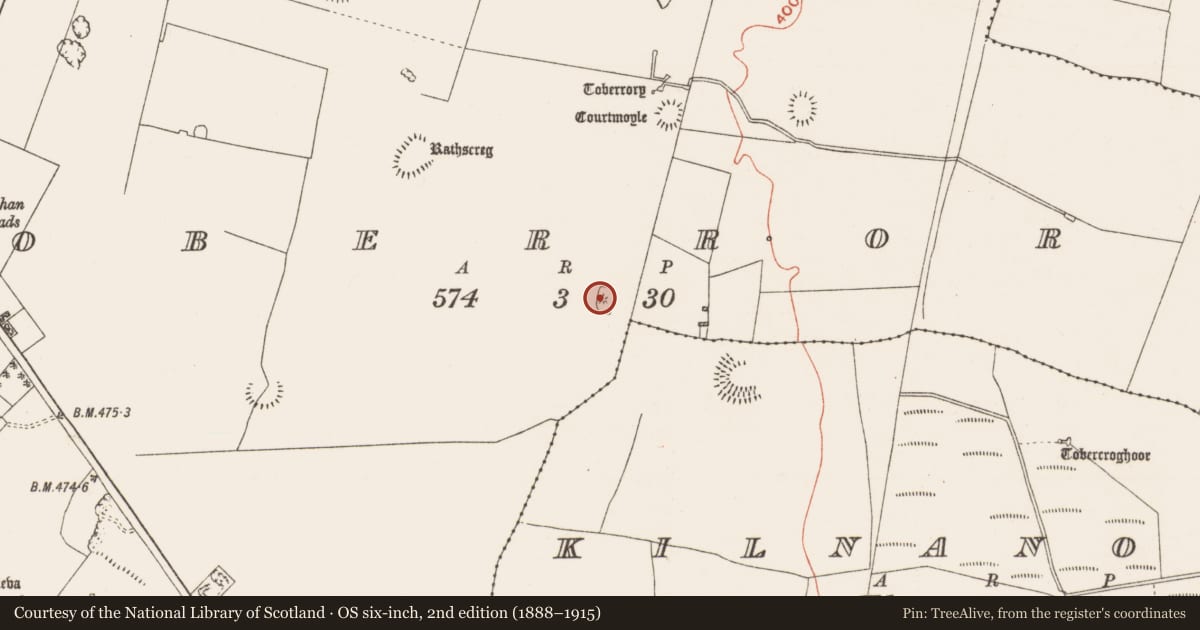 Ordnance Survey six-inch map, 2nd edition (1888–1915) covering the location of Barrow - mound barrow, Toberrory, County Roscommon, with a pin at the register's coordinates
