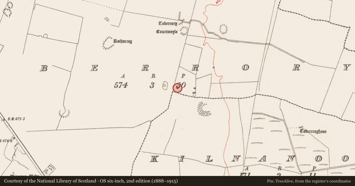 Ordnance Survey six-inch map, 2nd edition (1888–1915) covering the location of Barrow - ditch barrow, Toberrory, County Roscommon, with a pin at the register's coordinates
