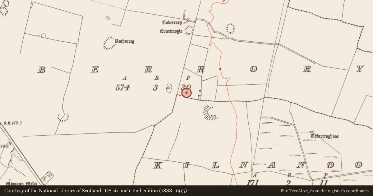 Ordnance Survey six-inch map, 2nd edition (1888–1915) covering the location of Barrow - ditch barrow, Toberrory, County Roscommon, with a pin at the register's coordinates