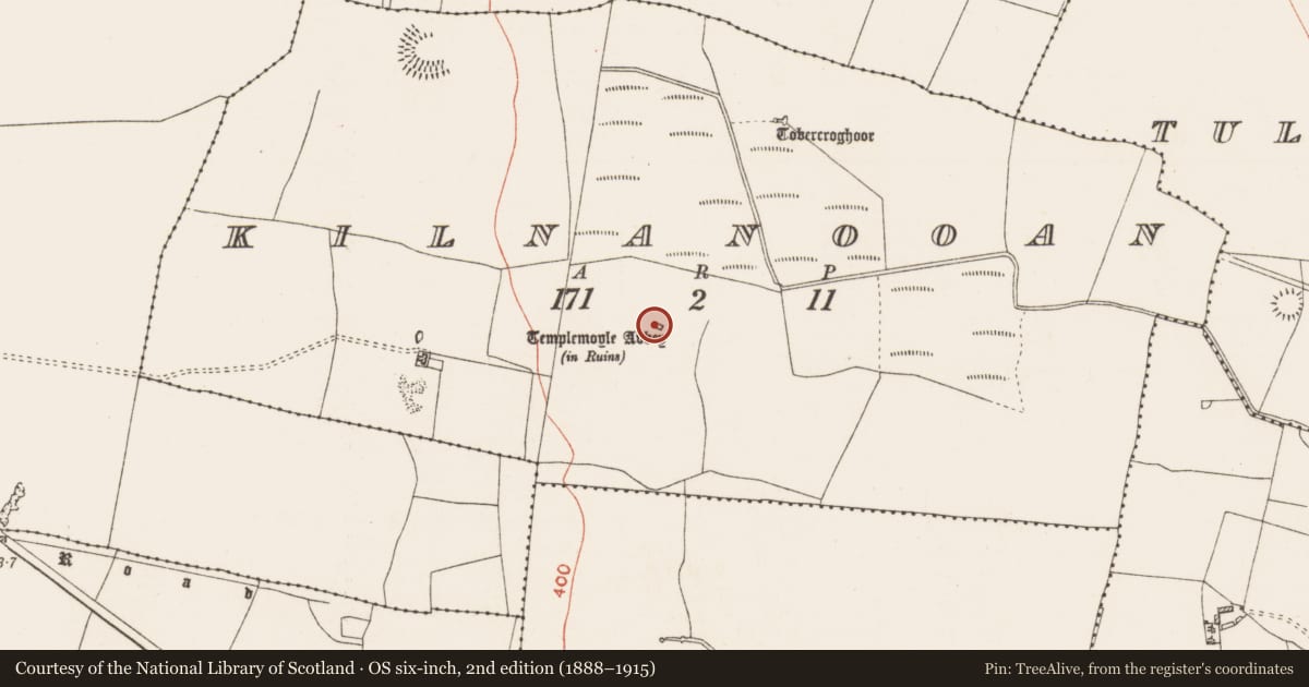 Ordnance Survey six-inch map, 2nd edition (1888–1915) covering the location of Church, Kilnanooan, County Roscommon, with a pin at the register's coordinates