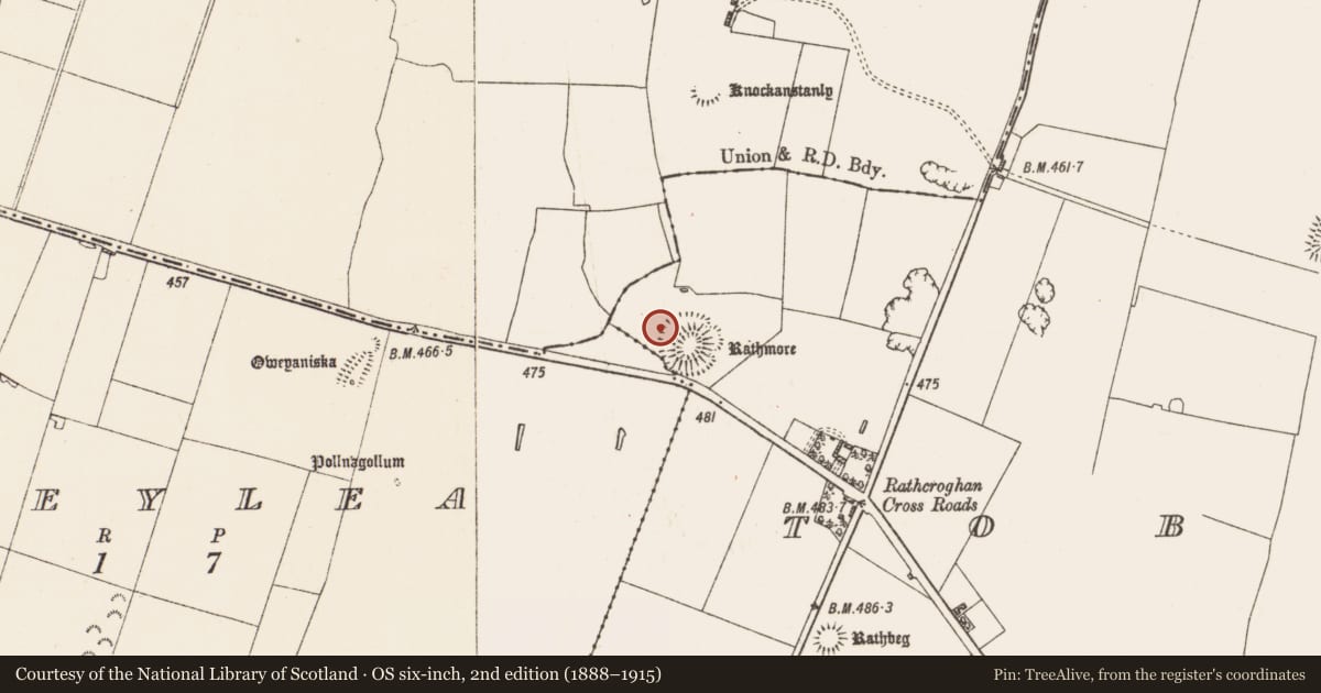 Ordnance Survey six-inch map, 2nd edition (1888–1915) covering the location of Ceremonial enclosure, Toberrory, County Roscommon, with a pin at the register's coordinates