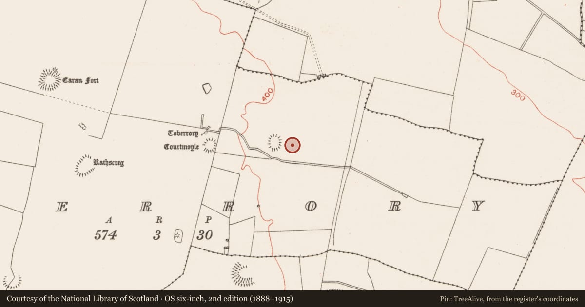 Ordnance Survey six-inch map, 2nd edition (1888–1915) covering the location of Sweathouse, Toberrory, County Roscommon, with a pin at the register's coordinates