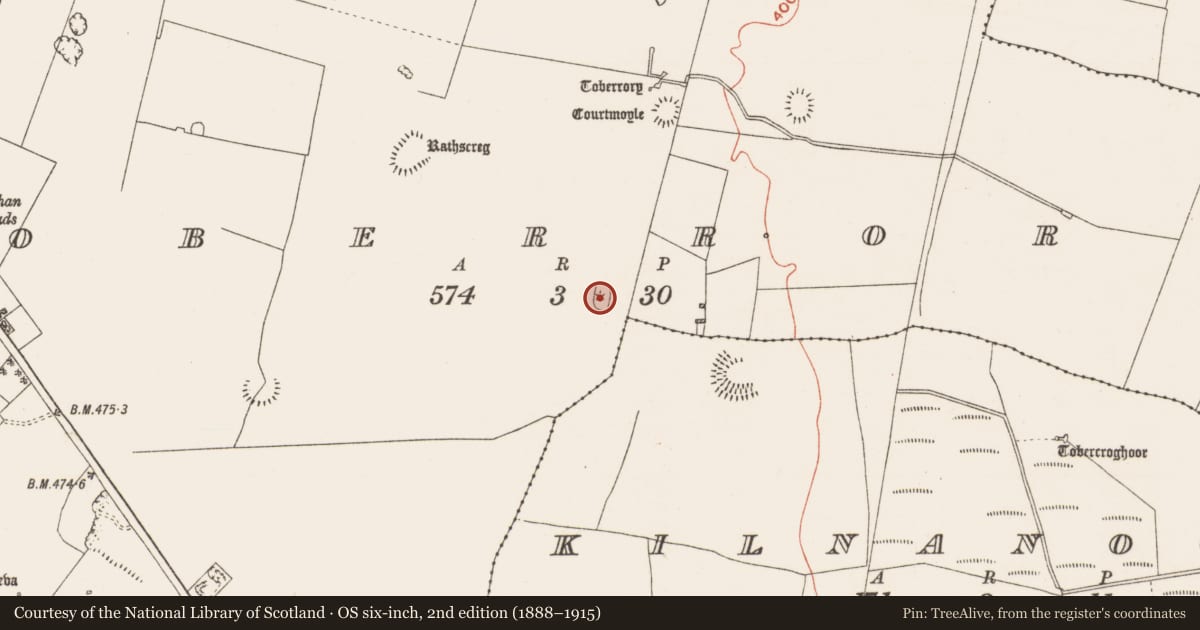 Ordnance Survey six-inch map, 2nd edition (1888–1915) covering the location of Enclosure, Toberrory, County Roscommon, with a pin at the register's coordinates