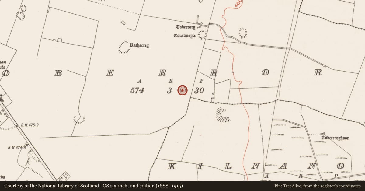Ordnance Survey six-inch map, 2nd edition (1888–1915) covering the location of Enclosure, Toberrory, County Roscommon, with a pin at the register's coordinates