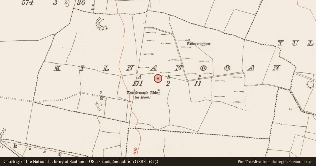 Ordnance Survey six-inch map, 2nd edition (1888–1915) covering the location of Ringfort - rath, Kilnanooan, County Roscommon, with a pin at the register's coordinates