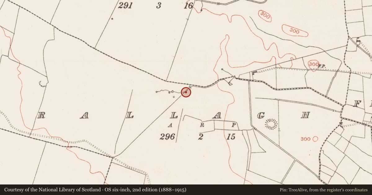 Ordnance Survey six-inch map, 2nd edition (1888–1915) covering the location of Road - road/trackway, Grallagh, County Roscommon, with a pin at the register's coordinates