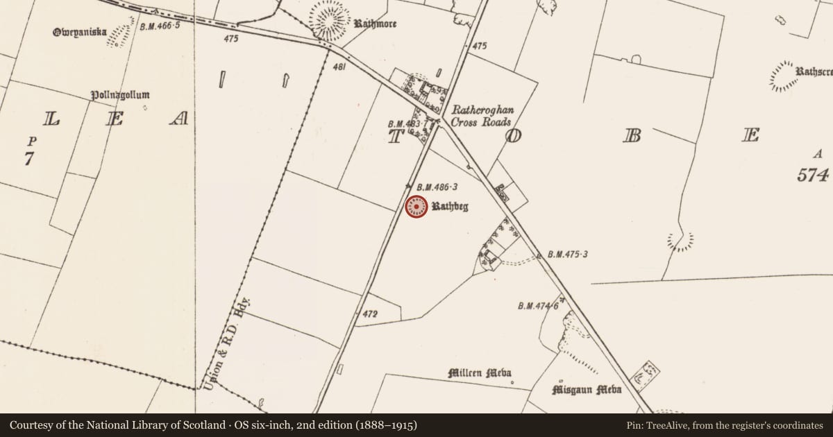 Ordnance Survey six-inch map, 2nd edition (1888–1915) covering the location of Barrow - ring-barrow, Toberrory, County Roscommon, with a pin at the register's coordinates