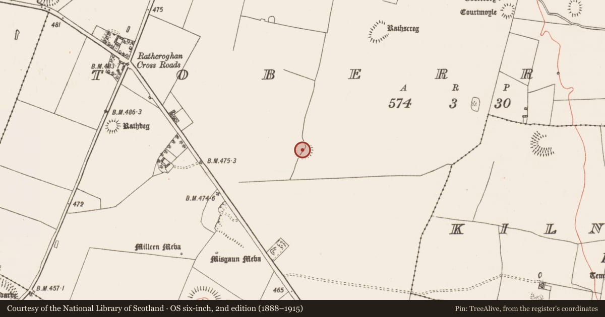Ordnance Survey six-inch map, 2nd edition (1888–1915) covering the location of Barrow - ring-barrow, Toberrory, County Roscommon, with a pin at the register's coordinates