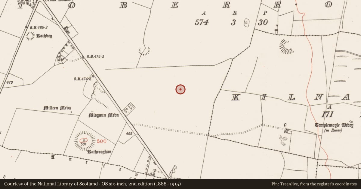 Ordnance Survey six-inch map, 2nd edition (1888–1915) covering the location of Field system, Toberrory, County Roscommon, with a pin at the register's coordinates