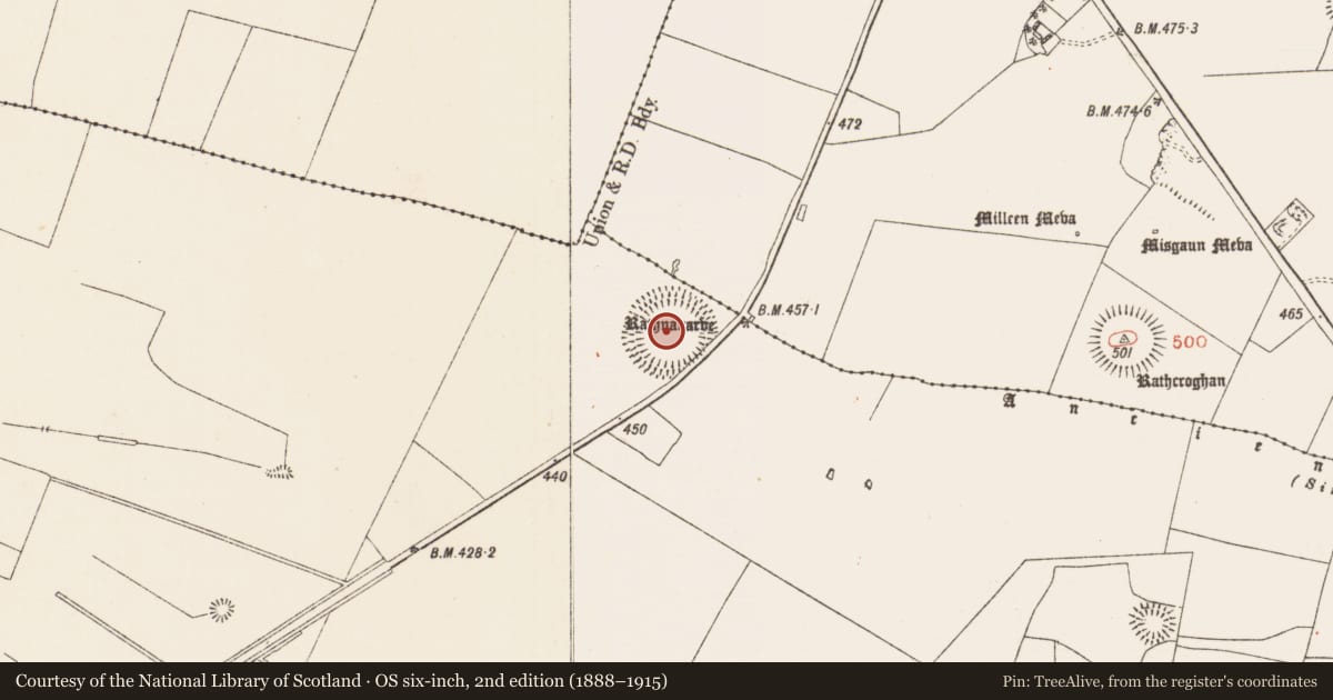 Ordnance Survey six-inch map, 2nd edition (1888–1915) covering the location of Enclosure - large enclosure, Glenballythomas, County Roscommon, with a pin at the register's coordinates