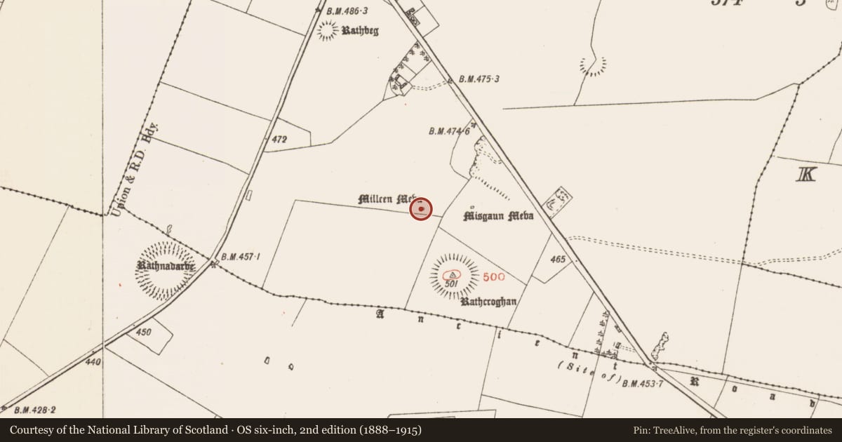 Ordnance Survey six-inch map, 2nd edition (1888–1915) covering the location of Standing stone, Toberrory, County Roscommon, with a pin at the register's coordinates