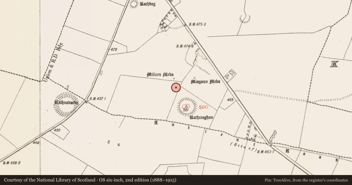 Ordnance Survey six-inch map, 2nd edition (1888–1915) covering the location of Barrow - mound barrow, Toberrory, County Roscommon, with a pin at the register's coordinates