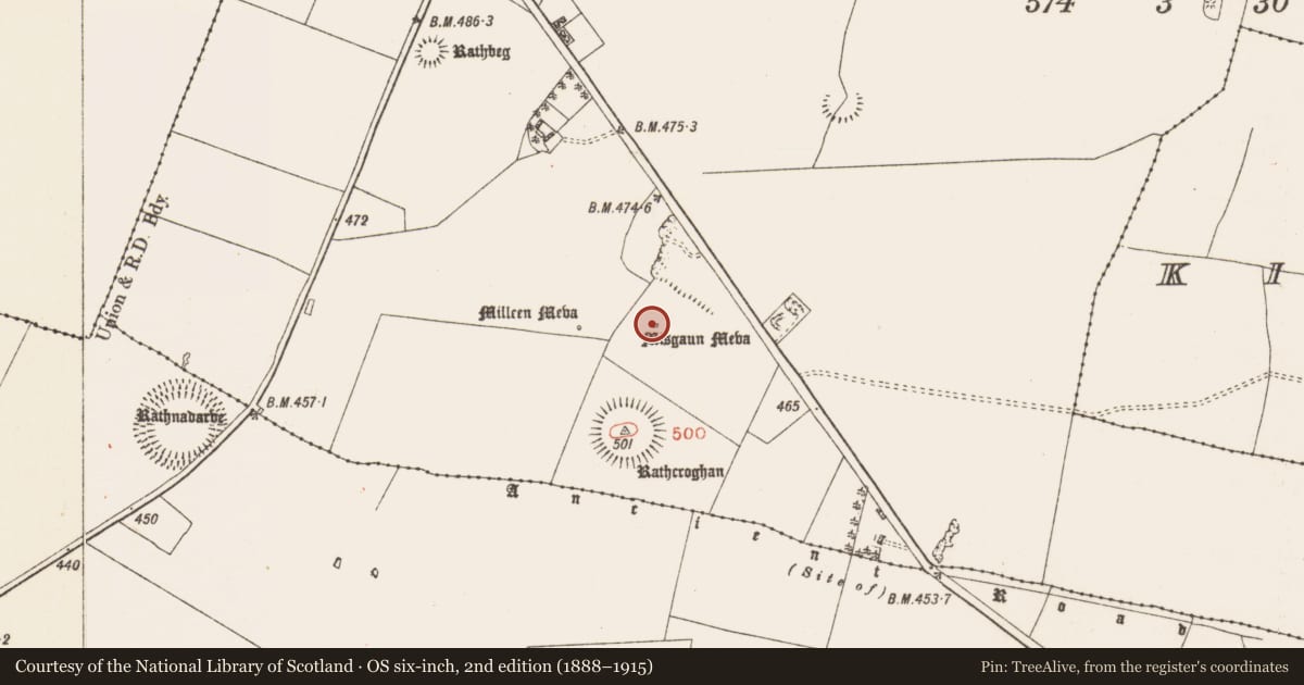 Ordnance Survey six-inch map, 2nd edition (1888–1915) covering the location of Standing stone, Toberrory, County Roscommon, with a pin at the register's coordinates