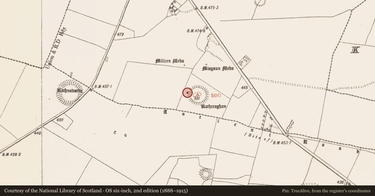 Ordnance Survey six-inch map, 2nd edition (1888–1915) covering the location of Ceremonial enclosure, Glenballythomas, Toberrory, County Roscommon, with a pin at the register's coordinates