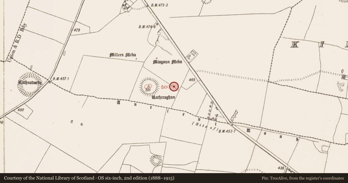Ordnance Survey six-inch map, 2nd edition (1888–1915) covering the location of Barrow - ring-barrow, Toberrory, County Roscommon, with a pin at the register's coordinates
