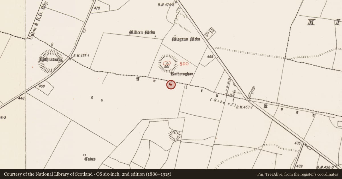 Ordnance Survey six-inch map, 2nd edition (1888–1915) covering the location of Barrow - ring-barrow, Glenballythomas, County Roscommon, with a pin at the register's coordinates