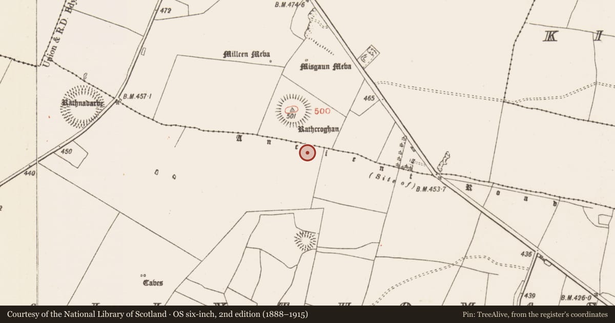 Ordnance Survey six-inch map, 2nd edition (1888–1915) covering the location of Barrow - ring-barrow, Glenballythomas, County Roscommon, with a pin at the register's coordinates