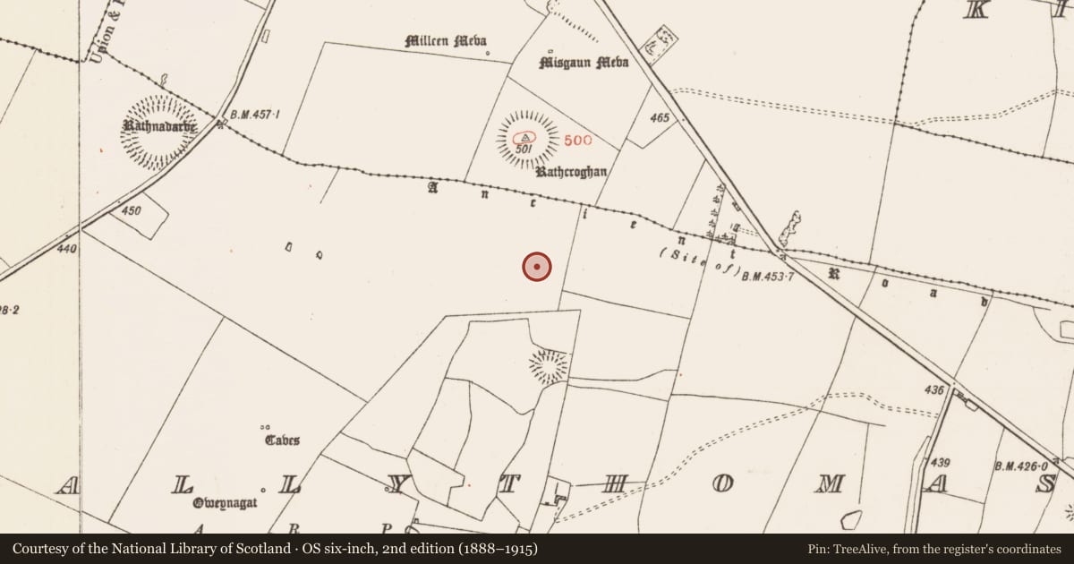 Ordnance Survey six-inch map, 2nd edition (1888–1915) covering the location of Barrow - mound barrow, Glenballythomas, County Roscommon, with a pin at the register's coordinates