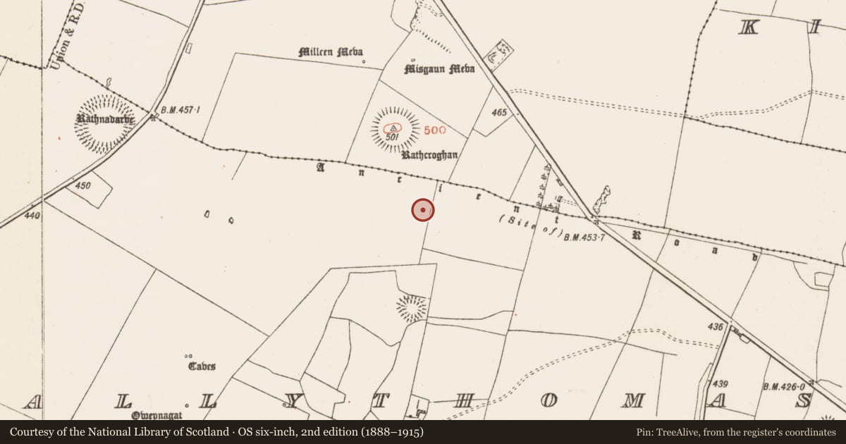 Ordnance Survey six-inch map, 2nd edition (1888–1915) covering the location of Barrow - unclassified, Glenballythomas, County Roscommon, with a pin at the register's coordinates