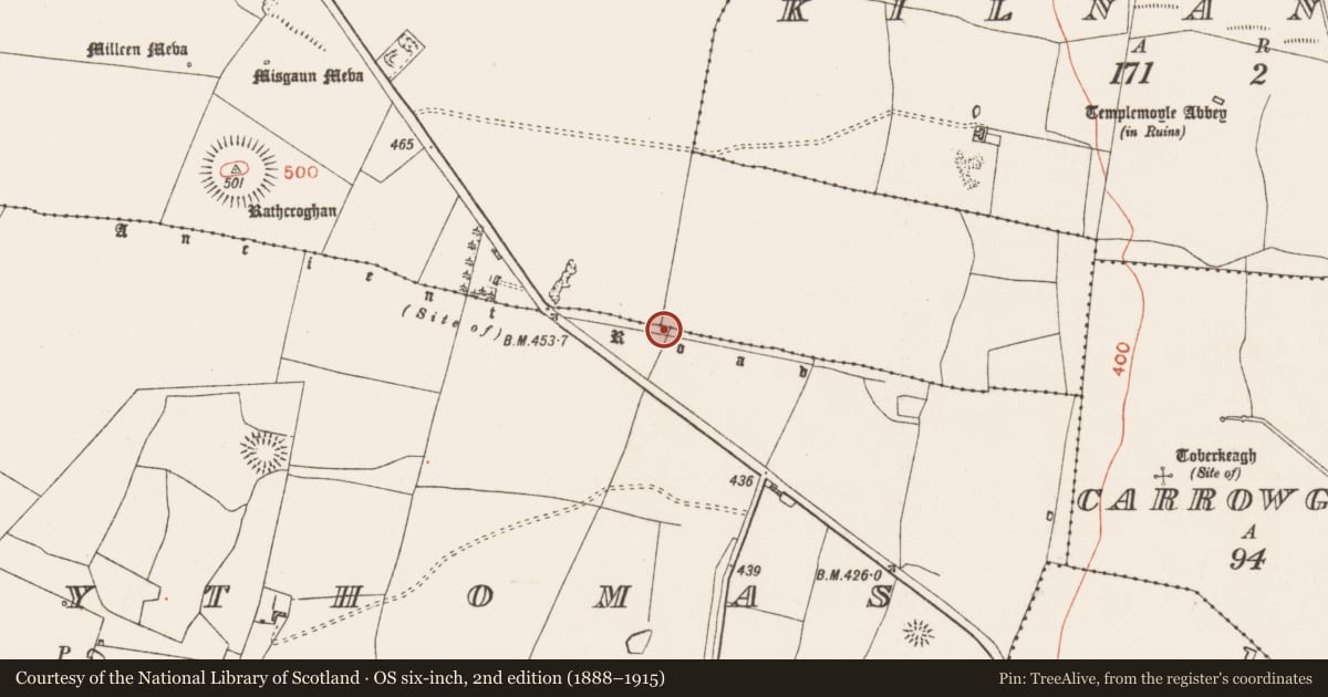 Ordnance Survey six-inch map, 2nd edition (1888–1915) covering the location of Road - road/trackway, Toberrory, Glenballythomas, County Roscommon, with a pin at the register's coordinates