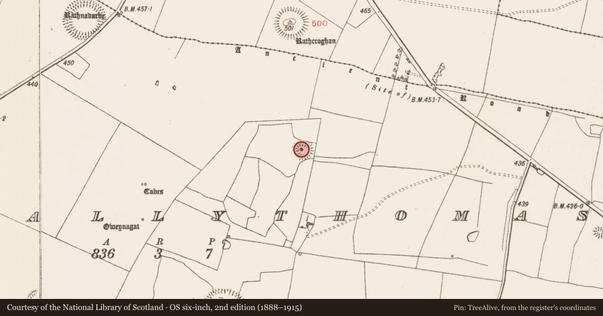 Ordnance Survey six-inch map, 2nd edition (1888–1915) covering the location of Ringfort - rath, Glenballythomas, County Roscommon, with a pin at the register's coordinates