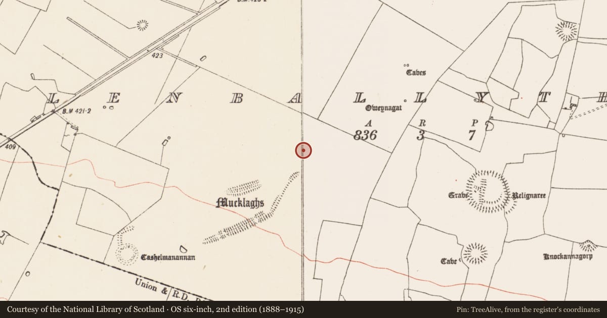 Ordnance Survey six-inch map, 2nd edition (1888–1915) covering the location of Barrow - ditch barrow, Glenballythomas, County Roscommon, with a pin at the register's coordinates