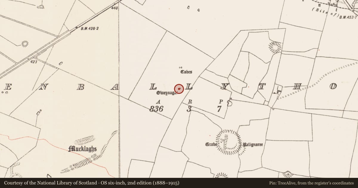 Ordnance Survey six-inch map, 2nd edition (1888–1915) covering the location of Earthwork, Glenballythomas, County Roscommon, with a pin at the register's coordinates