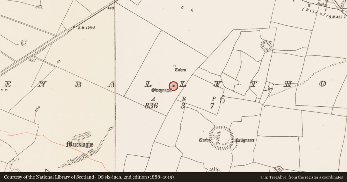 Ordnance Survey six-inch map, 2nd edition (1888–1915) covering the location of Souterrain, Glenballythomas, County Roscommon, with a pin at the register's coordinates