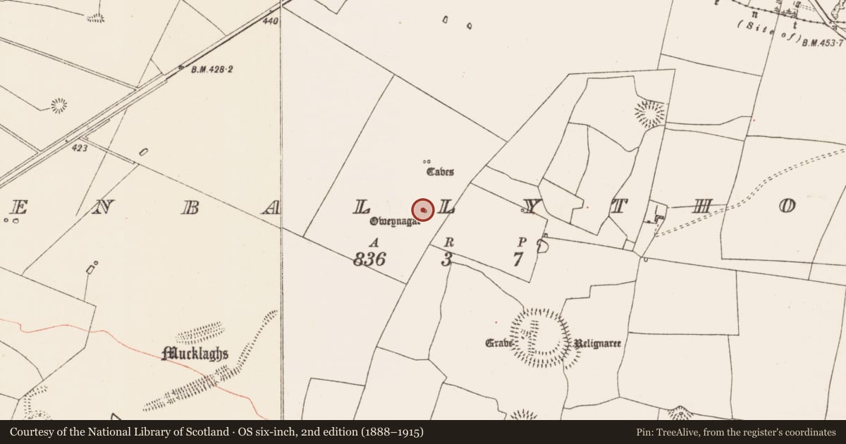 Ordnance Survey six-inch map, 2nd edition (1888–1915) covering the location of Ogham stone, Glenballythomas, County Roscommon, with a pin at the register's coordinates