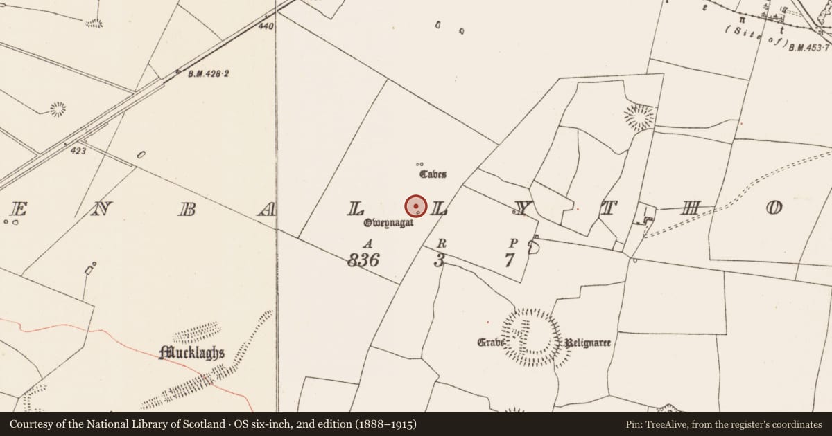 Ordnance Survey six-inch map, 2nd edition (1888–1915) covering the location of Cave, Glenballythomas, County Roscommon, with a pin at the register's coordinates